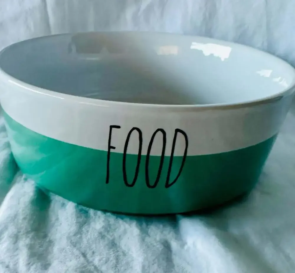 Rae Dunn Magenta Mint Ceramic Food and Water Pet Bowls Set